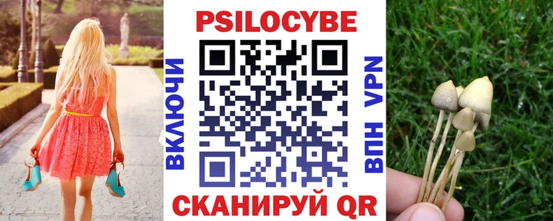 Псилоцибиновые грибы Psilocybine cubensis  Анжеро-Судженск 