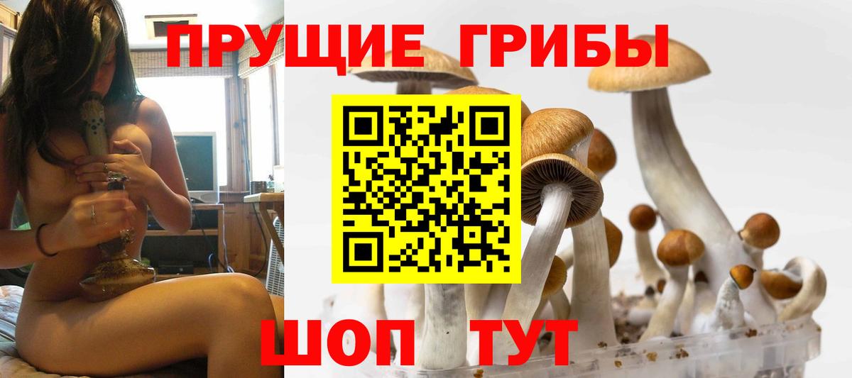 Галлюциногенные грибы мицелий  Вход с VPN  Анжеро-Судженск  Галлюциногенные грибы Psilocybine cubensis 